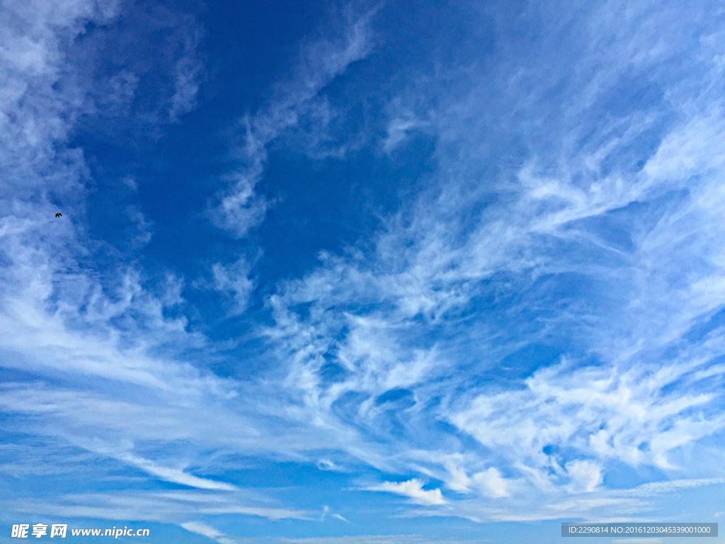 天 天空 藍(lán)天 唯美 風(fēng)景 風(fēng)