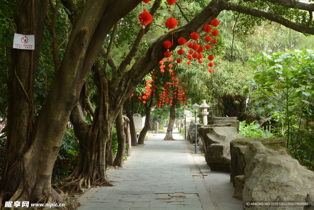 树林走道