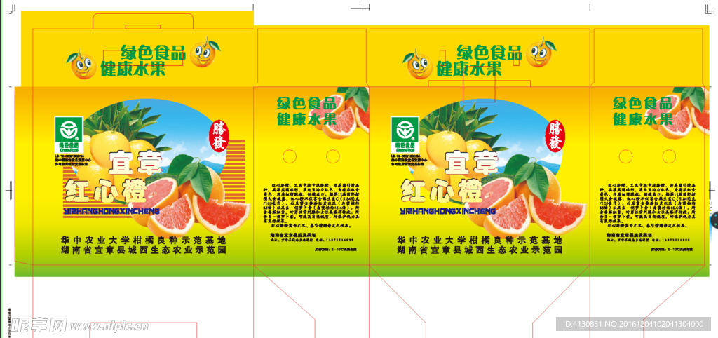 紅心臍橙 臍橙設計