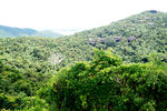 三亚热带雨林