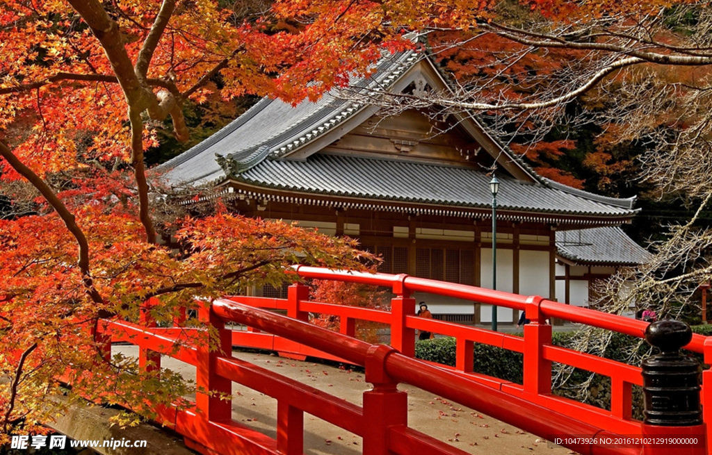 日本古典建筑楓葉紅橋設計