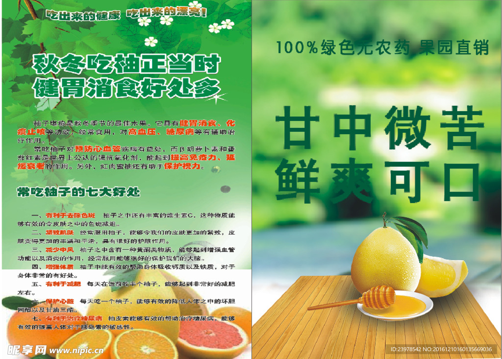 橙子廣告