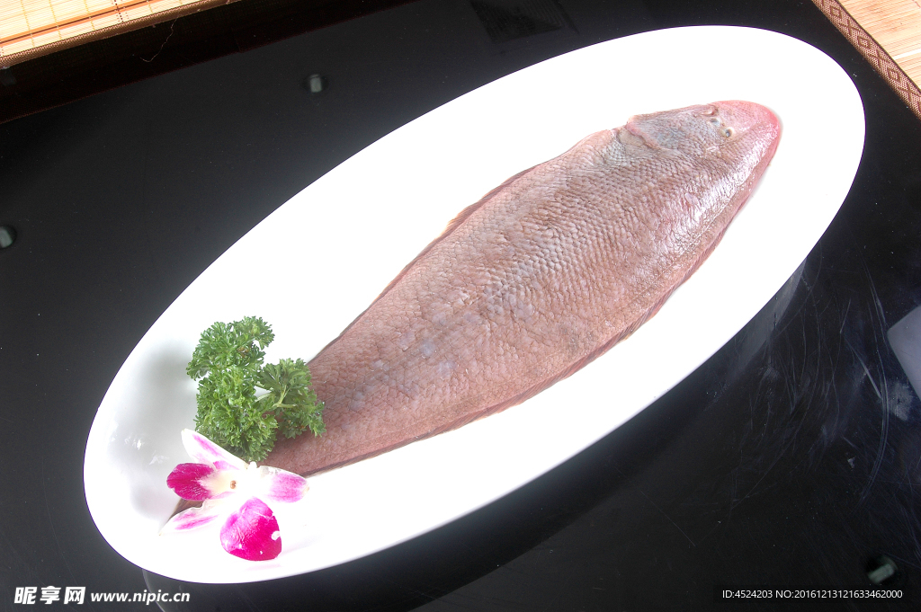 玉兔魚