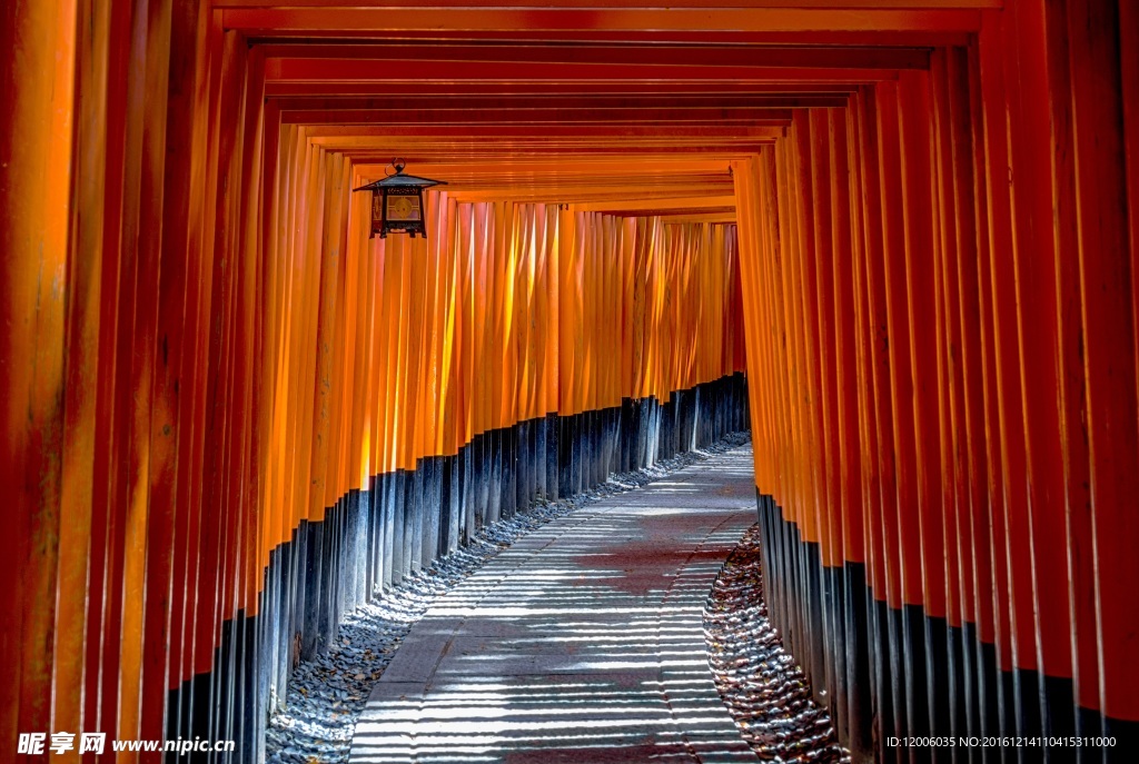 日本神木道