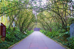 棠湖公园  绿色通道
