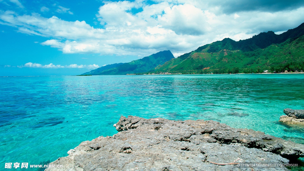 海