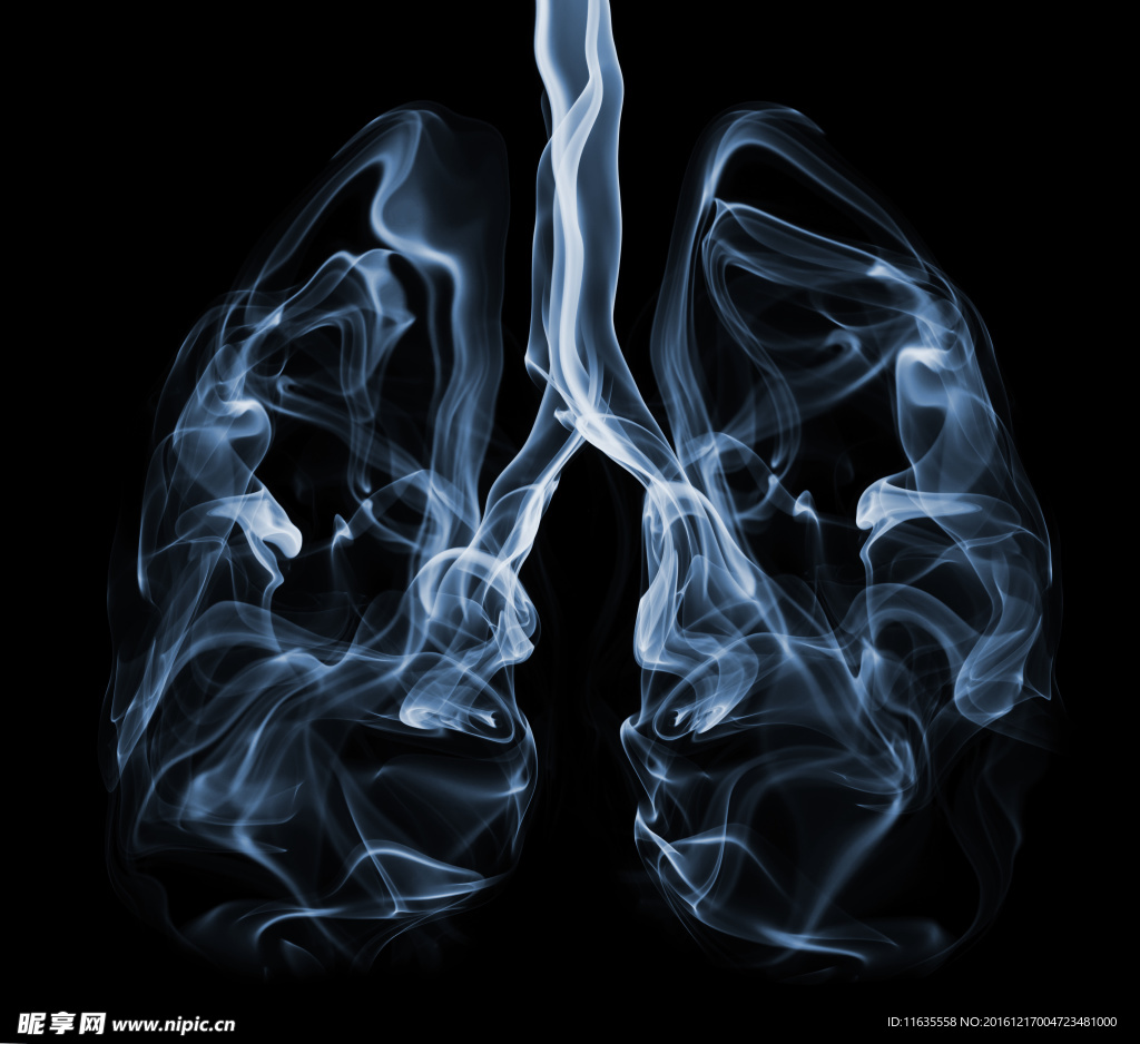 肺部造型高清图片