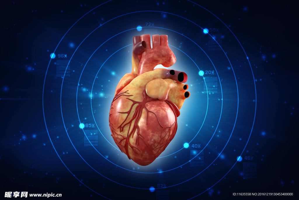 蓝色科技背景心脏模型高清图片