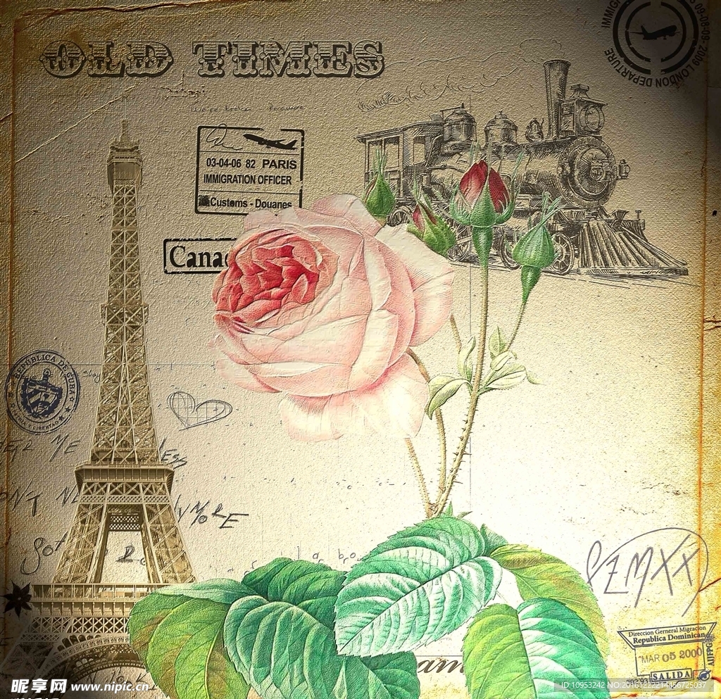 玫瑰花