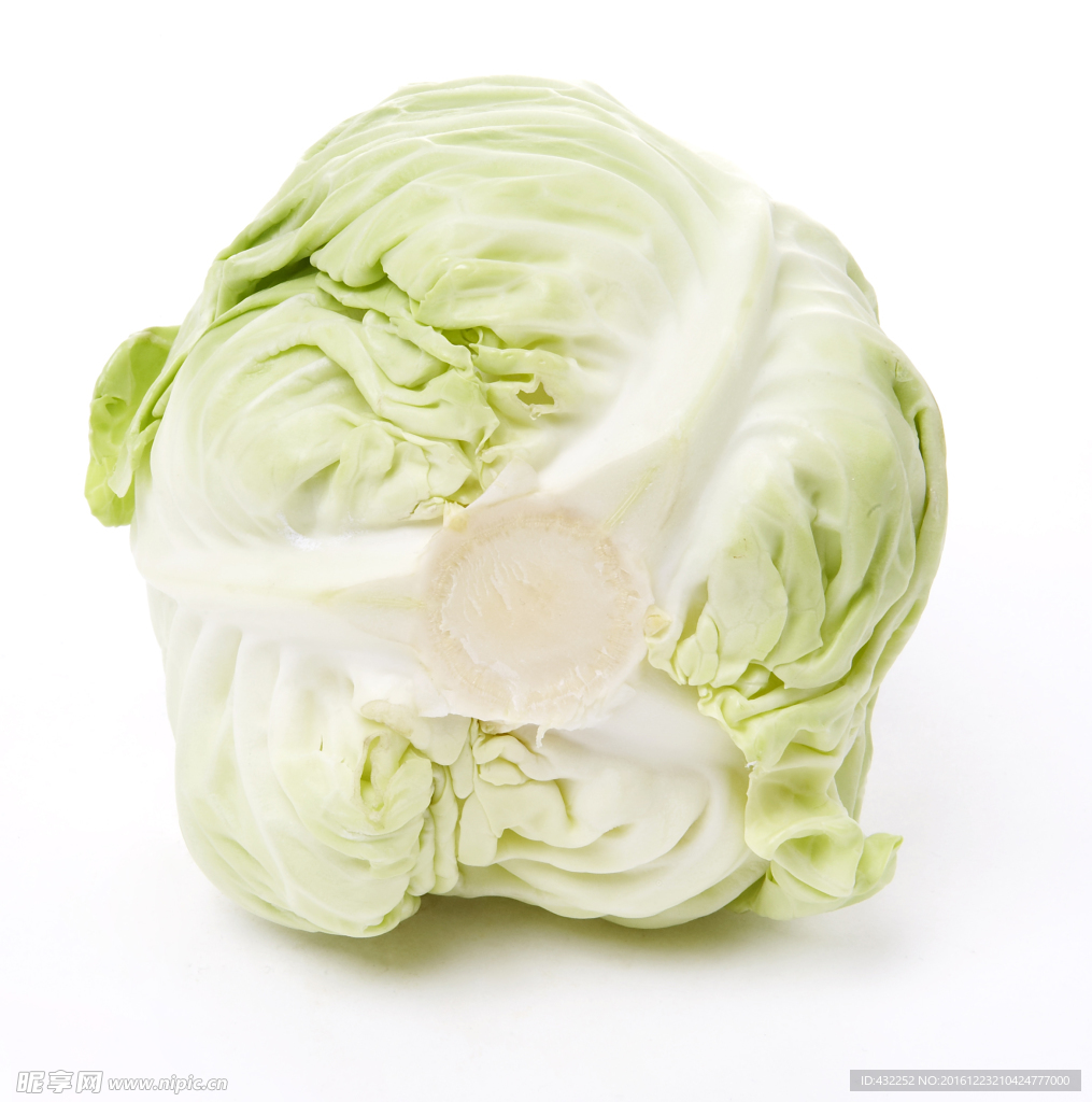 洋白菜