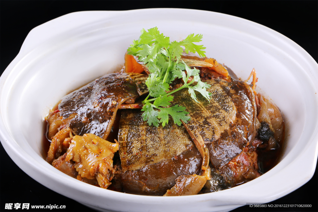 甲魚