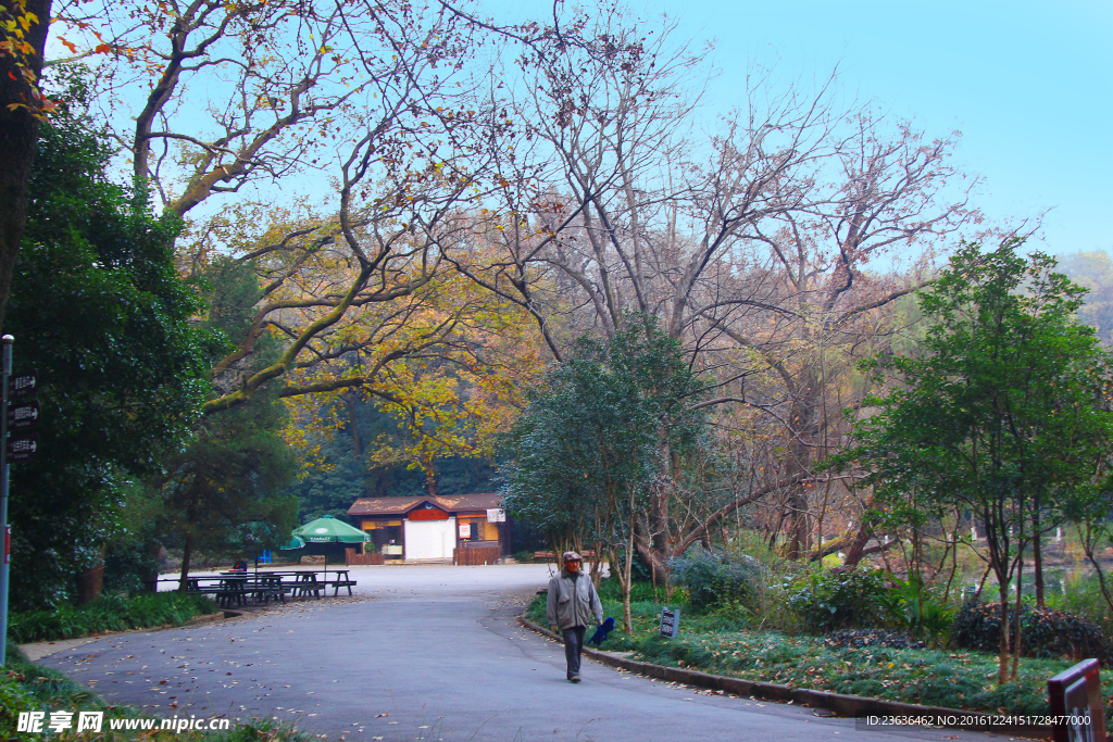 南京灵谷寺 风景