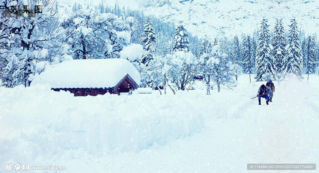 唯美冬天雪景雪松下雪高清视频