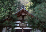 日式园林建筑摄影