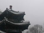 天津北宁公园雪景