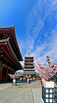 日本淺草寺寬幅