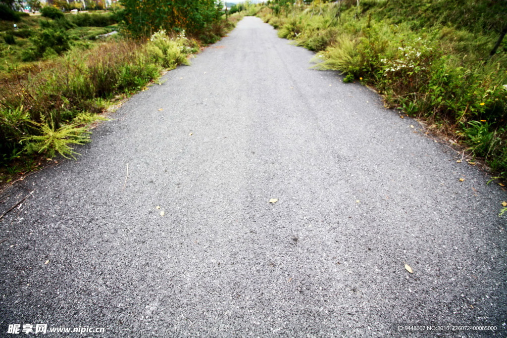 鄉(xiāng)村柏油路圖片