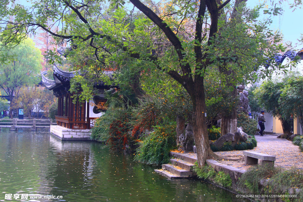 南京總統府 西花園