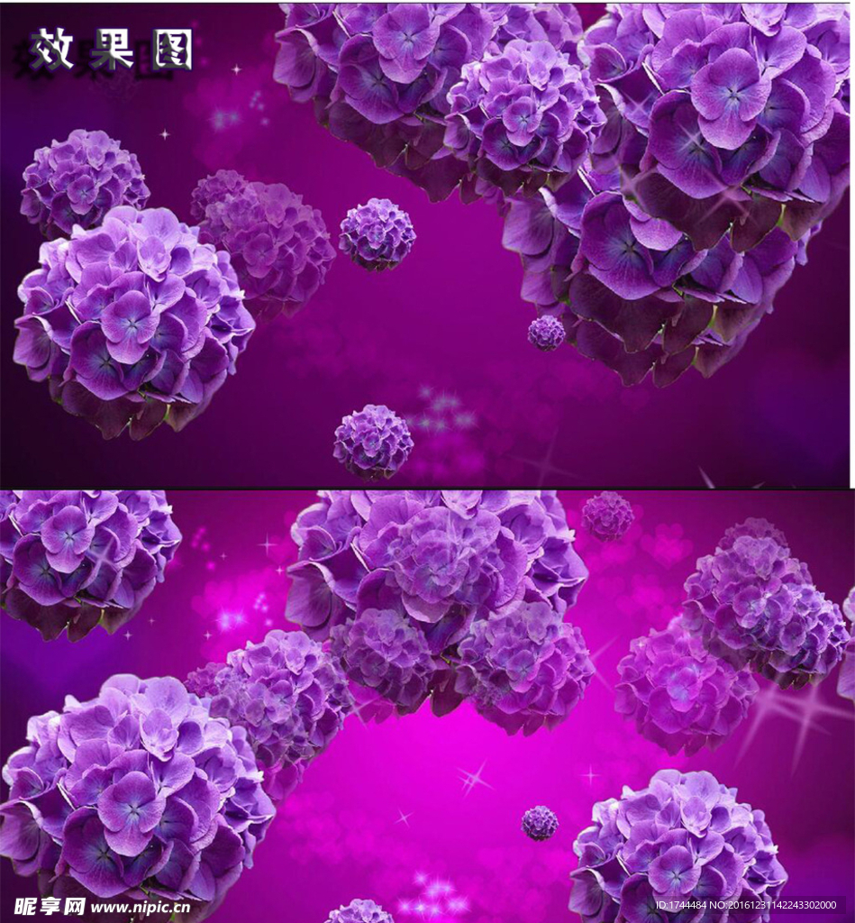 紫色唯美花朵大绣球飘扬高清视频