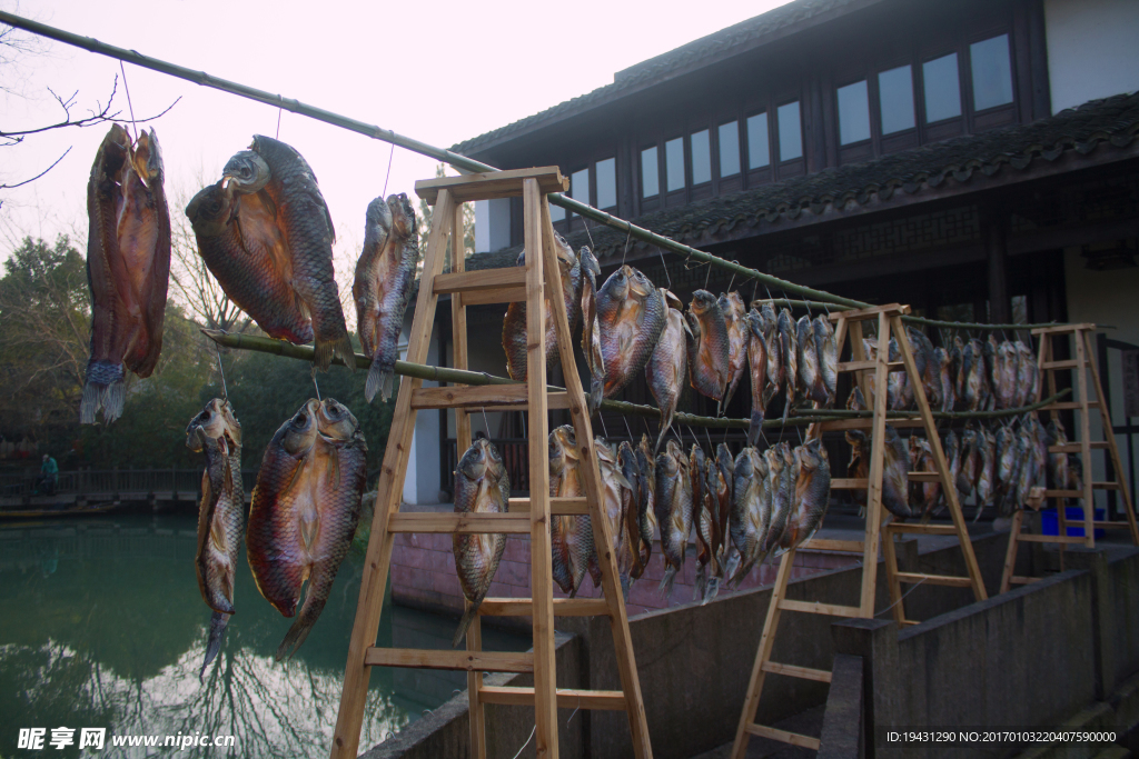 曬咸魚