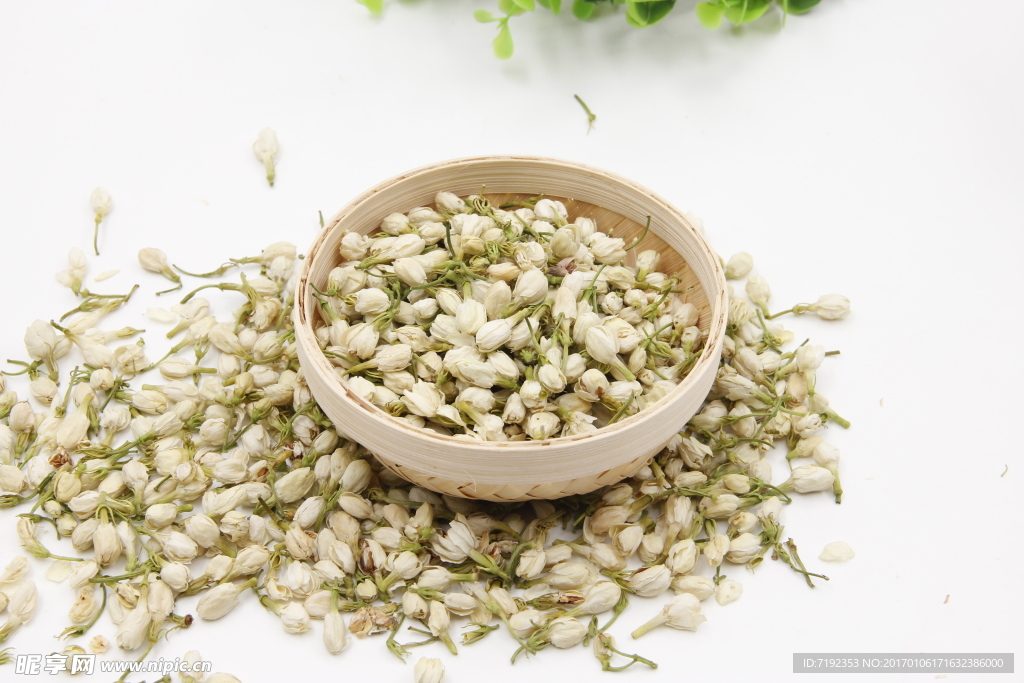 茉莉花茶