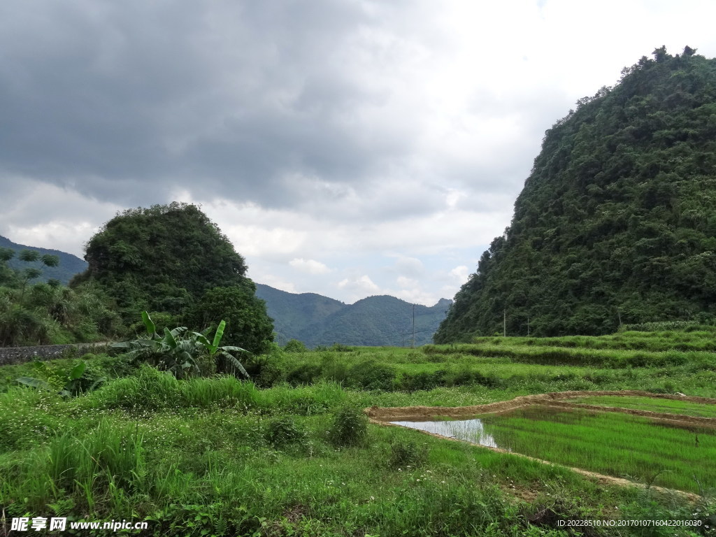 田園風光
