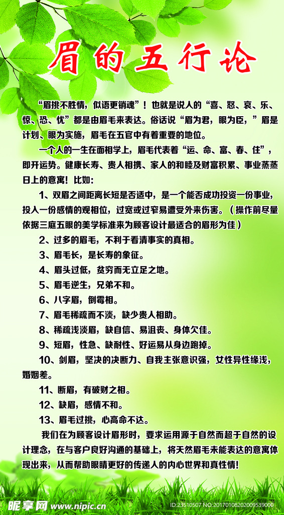眉的五行論