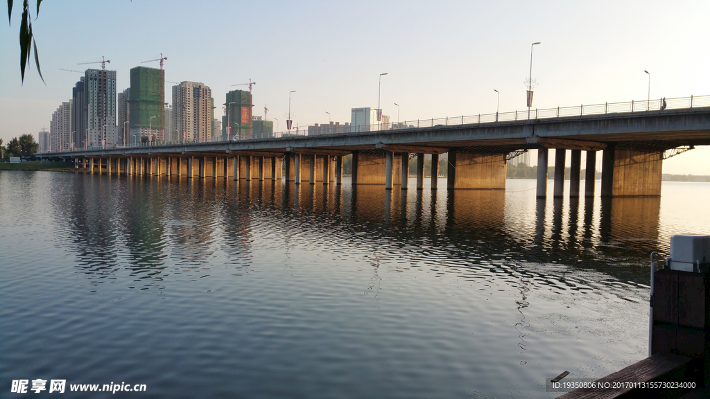 城市 河水 橋
