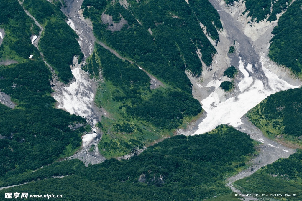 山坡上綠色植被