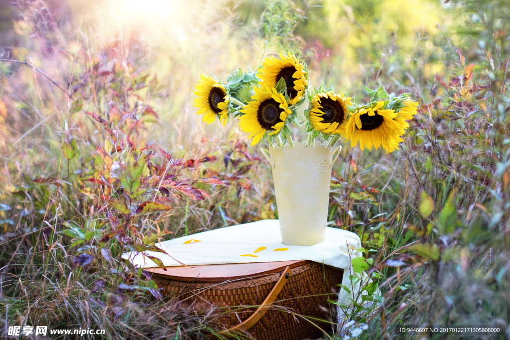花瓶向日葵