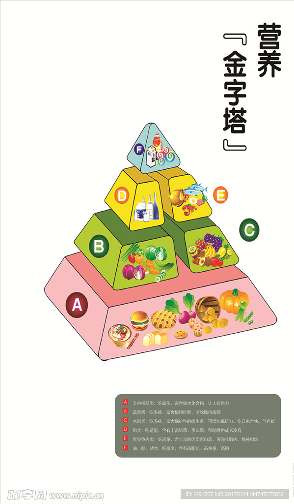 异形 营养金字塔