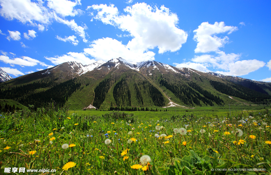 天山山脈