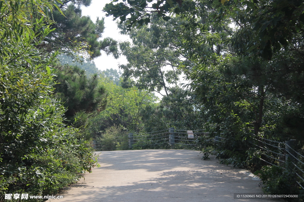 首山風景