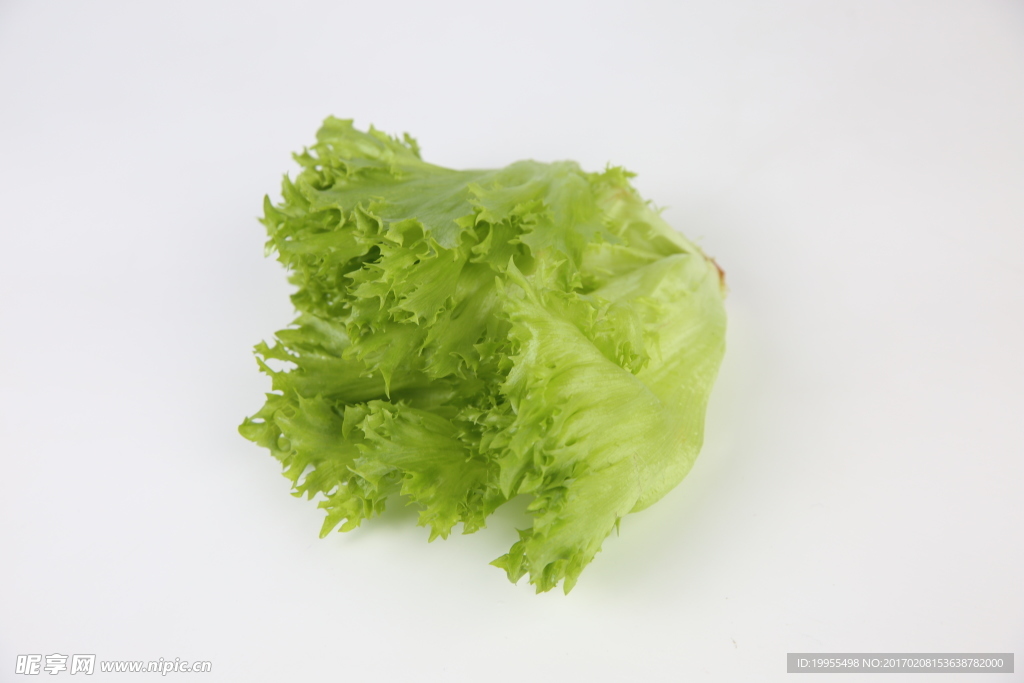 優雅生菜