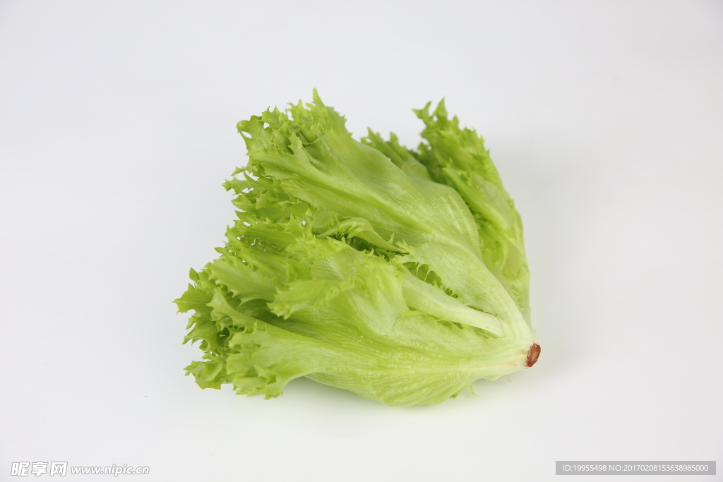 優(yōu)雅生菜