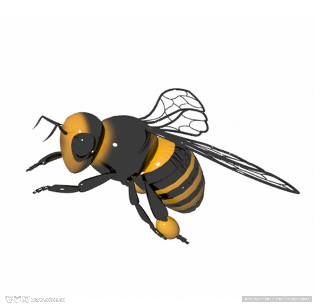 蜜蜂3D模型 带贴图