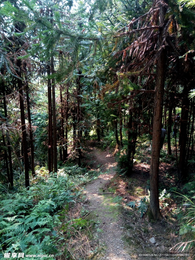 青山