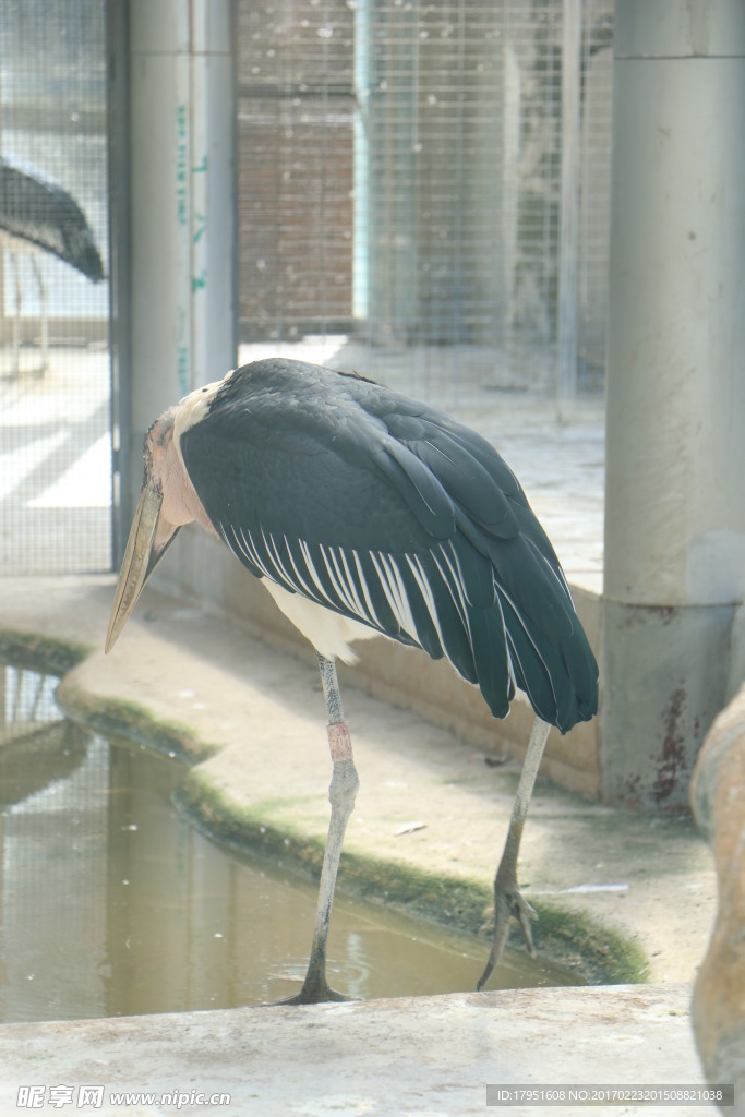 北京動(dòng)物園