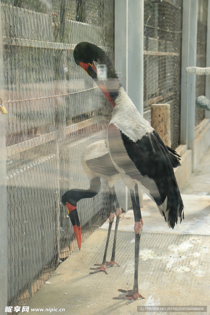 北京動物園