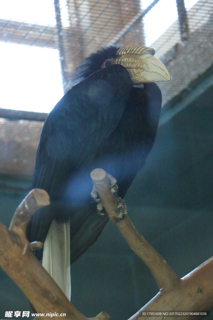 北京動物園