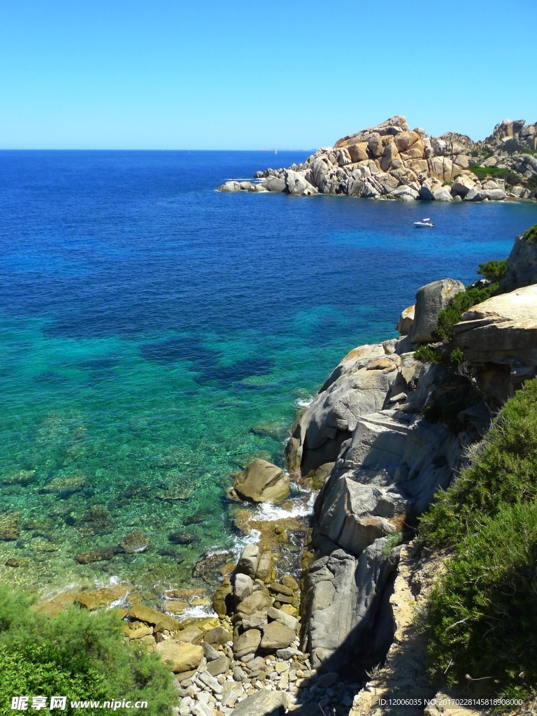 太平洋海岸
