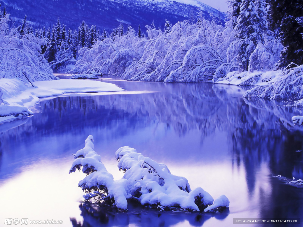 雪松