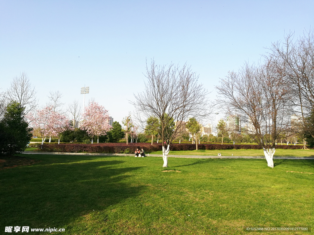 公園草地