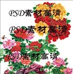 玫瑰