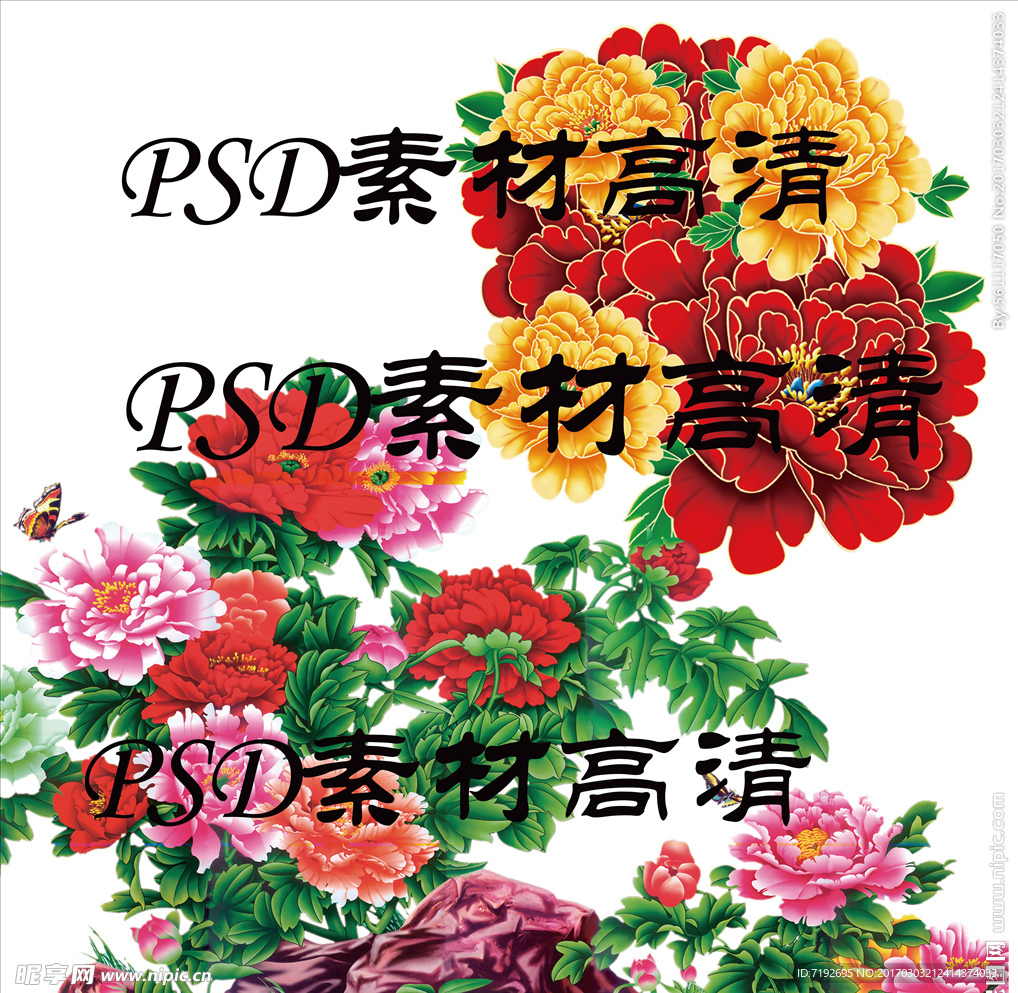 玫瑰