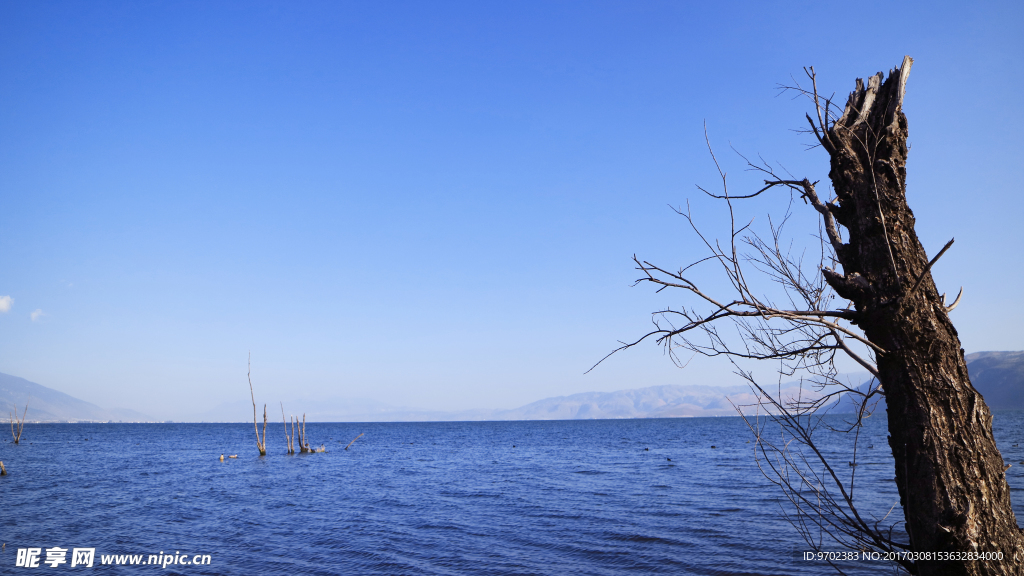 蓝天大海