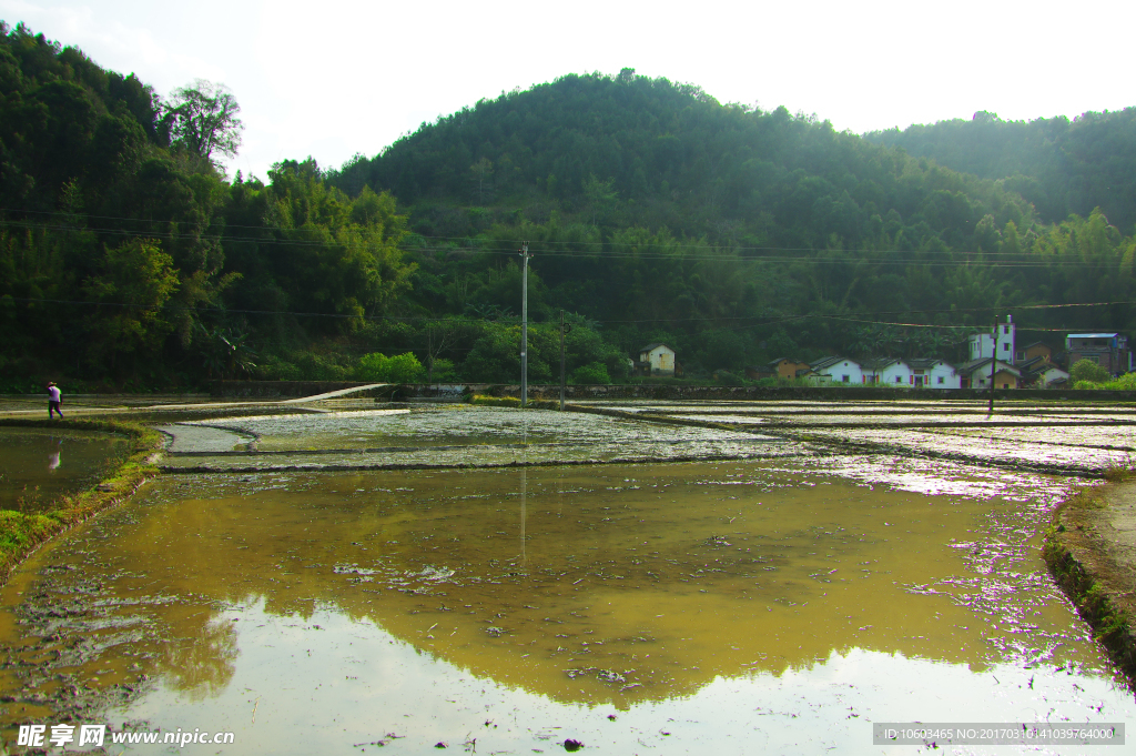 田园风光 春耕时节