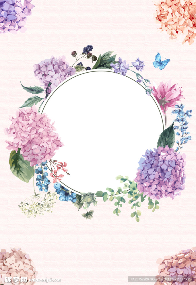 粉紫绣球花卉花环边框