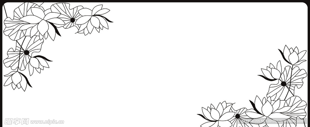 荷花