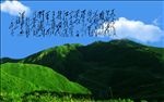 清平樂六盤山